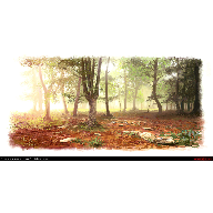 Lost in the woods