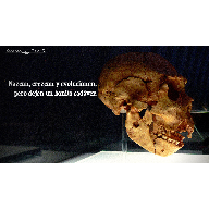 Postalesiva n&uacute;mero 5. Nazcan, crezcan y evolucionen, pero dejen un bonito cad&aacute;ver