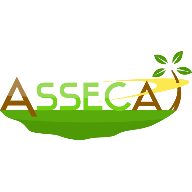 Asseca Logo