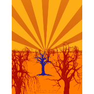 paisaje5