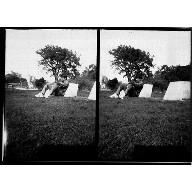 Descanso Estereosc&oacute;pico Positivo