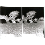 Descanso Estereoecopico Negativo