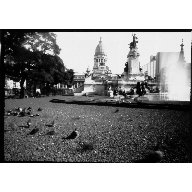 Palomas