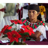 An old native woman with flowers