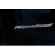 00297_KDDNikonistasMad_Atrapados_Gimped