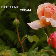 Electronic Dream
