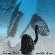 Jimy the Whale