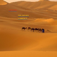 the sahara ambience