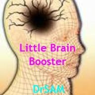Little Brain Booster