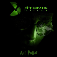 Avi Pottar