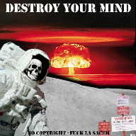destroy your mind (demo)