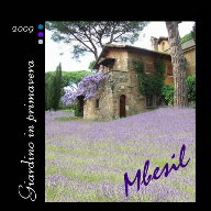 Giardino in primavera