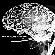 The Special Brainwashing