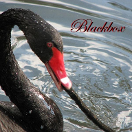 Blackbox