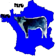 La va...bleue sur l'hexagon