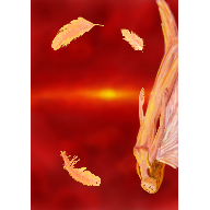 028Cielorojoluzysangre