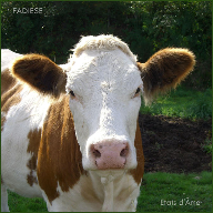 Etats d'&Acirc;me