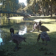 Public Garden (Single)