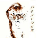The Panther