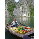 FRUTER&Iacute;A ACU&Aacute;TICA. HA LONG