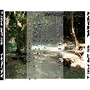 Mother Earth Back cover
