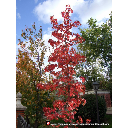 07_020_Paseos-en-oto&ntilde;o