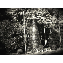 5_20091123_rlfox_navidadcalidoscopica_THF