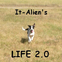 Life 2.0