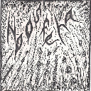 noosfera VIII