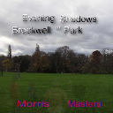 Evening Shadows in Brockwell Park