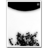 102_2519