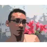 luces y flores