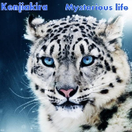 Mysterious Life