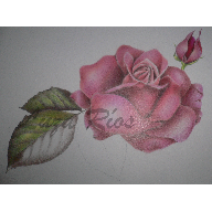 Una flor para ti
