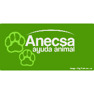AnecsaLogo