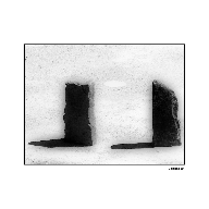 100_0949
