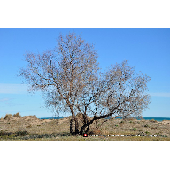 08_017_Yo-naci-en-el-Mediterraneo