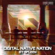 Digital native nation
