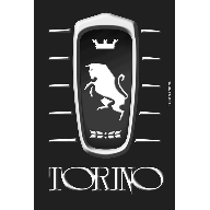 Logo Torino