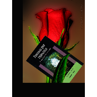 POEMAS POR PALESTINA sin texto