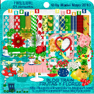 Blog Train_Flores y Frutas.previa