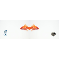 Fish 3