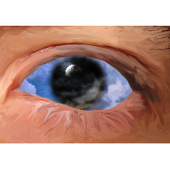Ommage a rafal olbinski