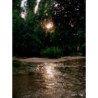 DSC01263-1