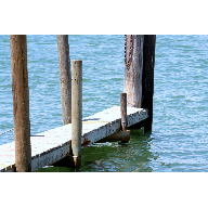 Muelle