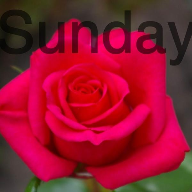 Sunday