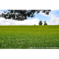 06_029_Qu&eacute; verde era mi valle