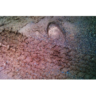 D&iacute;a a d&iacute;a, 365 d&iacute;as 24