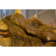 Dinosaurio