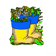 Botasflores